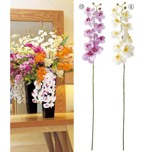   t@mvVXi12j  t[ lHϗtA[ONSFLSP7844]