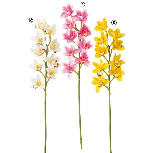   R[fBAVrWEi9j  t[[ONSFLSP7857]