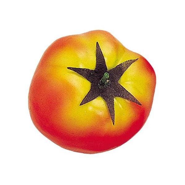 Xܑ 60mm g}g HiTv xW^u  ONSDIFV7286