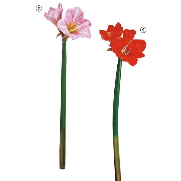   t[ A}X lHϗtA ԑ ONSFLSP1261