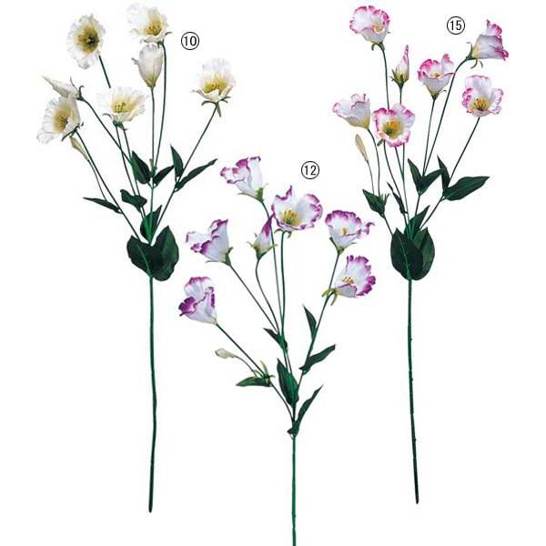   t[ gRLLElHϗtA ԑ ONSFLSP1303