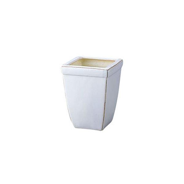  12cm NbV[XNEFAx[X Aؔ t[|bg[ONSPAPL7921]