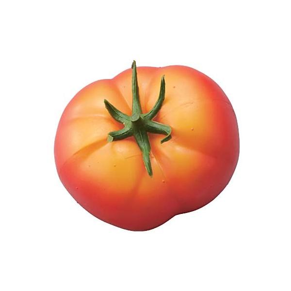 Xܑ 80mmtbVg}g HiTv xW^u [ONSDIFV71025]