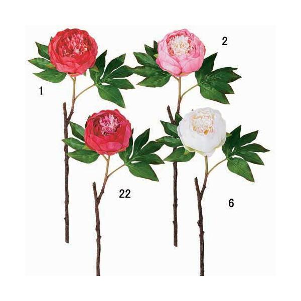  NEW YEAR  {^(1)[ONSFLSP1921]