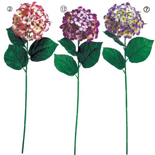 75cm AWTC(1/4)@ԁ@A[eBtBVt[@@zԁ@[ONSFLSP3259]