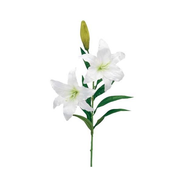   JTuJi2/1j  t[ lHϗtA ԑ[ONSFLSP7930]