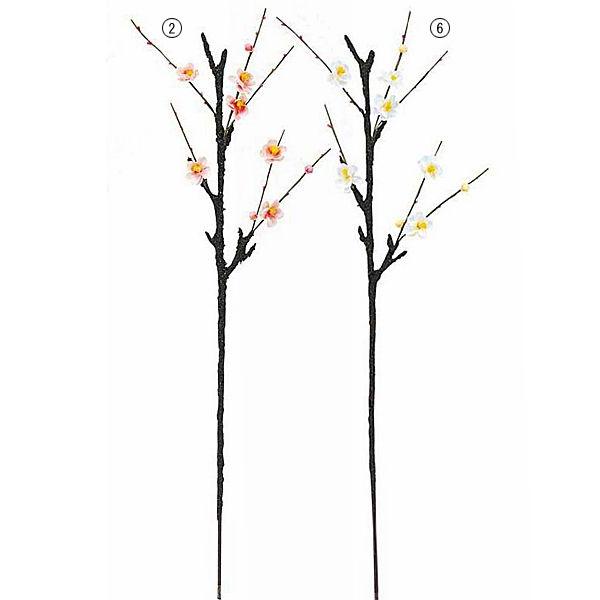   ~XvCi6j  NEW YEAR ONSFLSP8247