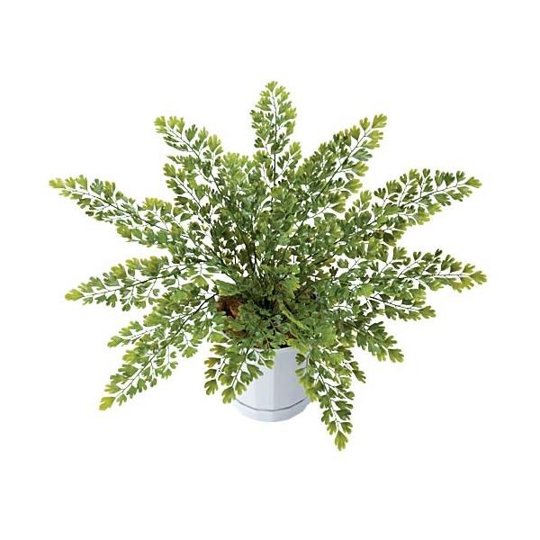 [t ubV K[h XvCAWA^ubV(27)[ONSLEBU7641]