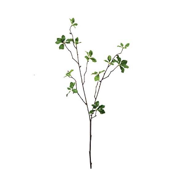   AZrXvC  t[ lHϗtA[ONSLESP7846]