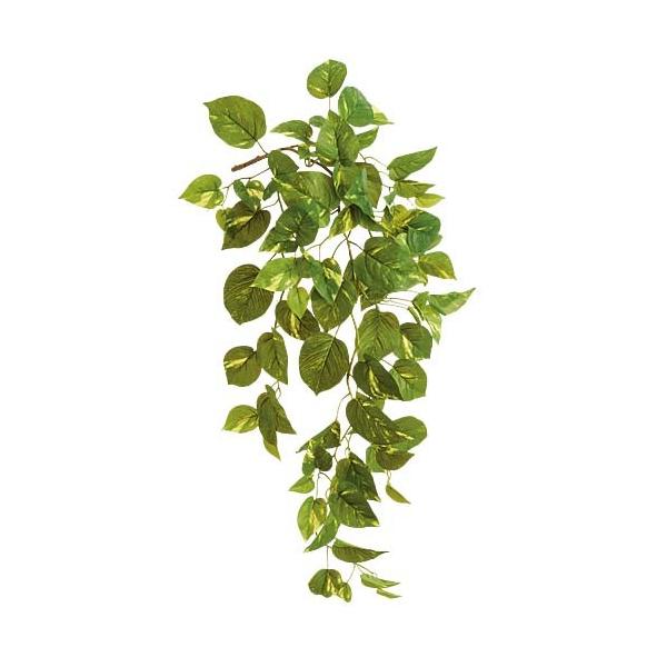 [t ubV K[h XvC|gXoC(88) [ONSLEVI7573]