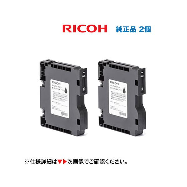 リコー（RICOH） 【Mサイズ 黒2個セット】リコー ガーメント インク