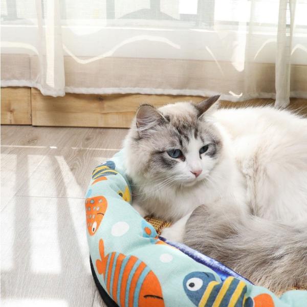 最大65 Offクーポン ベッド クールマット 犬 冷感 夏用 ひんやり 暑さ対策 犬用品 猫用品 猫 ペット 春 夏 クール ペット用クールソファベッド 水洗ok Whitesforracialequity Org