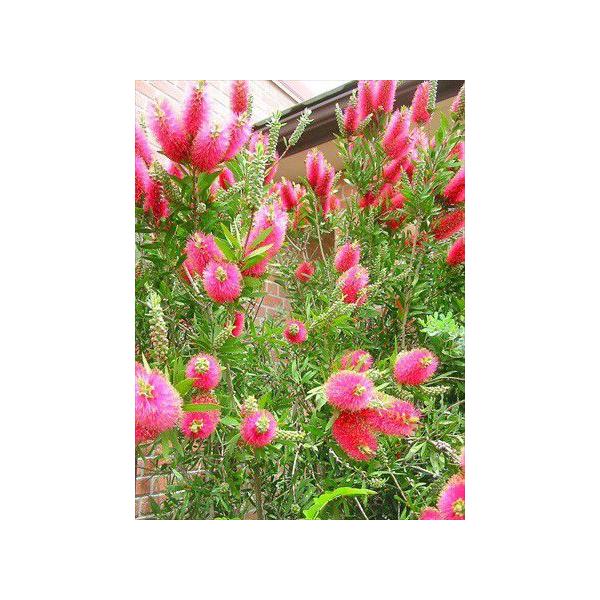 ԉԌn L|EWE180⁞uVmLCciiLj