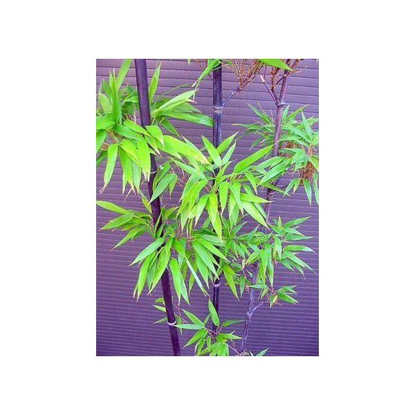 N`Nፕ|E150 N^P낽iSj荠TCYICc