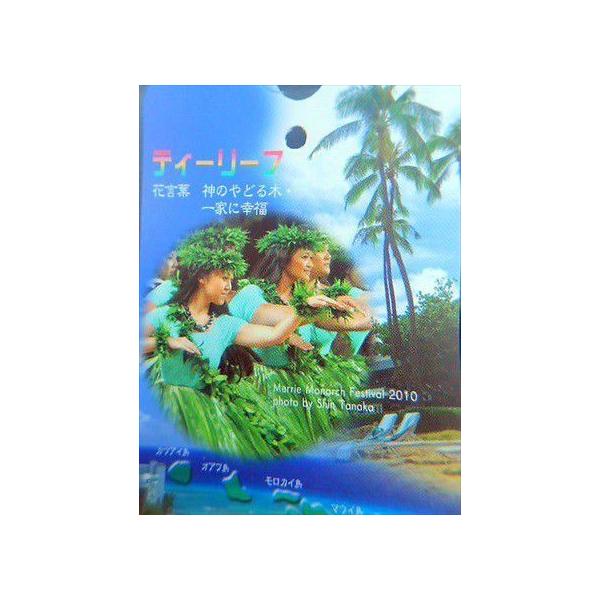 赤葉ティ リーフ ハワイアン ティーリーフ M リリノイ 観葉植物 Buyee Buyee Japanese Proxy Service Buy From Japan Bot Online