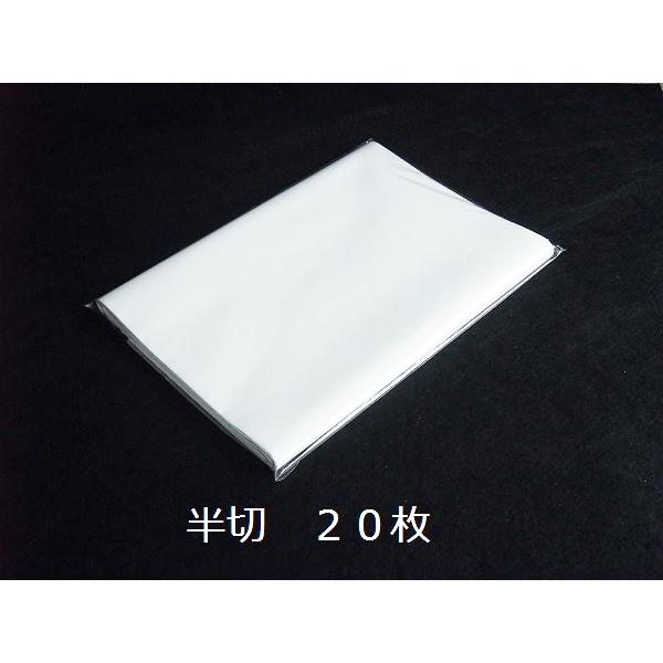隆記号牌 棉料単宣 半切 20枚 本画仙 手漉き 宣紙 書道紙 水墨画用紙