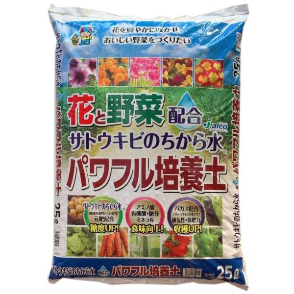 TgELr̂琅(R)pt|{y@25L