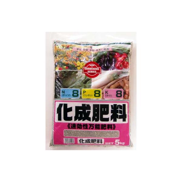 �����엿�W�E�W�E�W�@5Kg