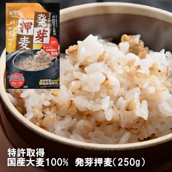 【単品】発芽押麦 250g  当店オリジナル 最高級麦ごはん 大麦 食物繊維  腸活 国産大麦 押し麦 発芽 発芽大麦 GABA