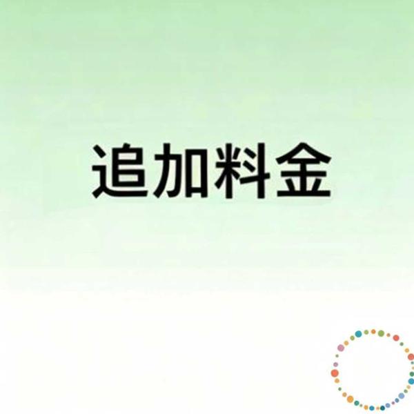 追加料金