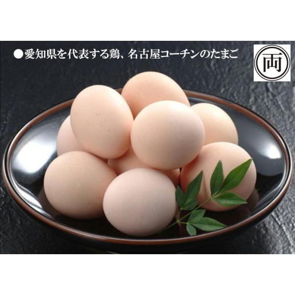 ■入数：純系 名古屋コーチン卵 40個入り愛知を代表する鶏、名古屋コーチン。花井養鶏場は全国10万羽育成される「名古屋コーチン」のうち、１２０００羽を飼育している養鶏場です。※肉用を含めると１００万羽になります。【味の特徴】他の卵よりも卵黄...