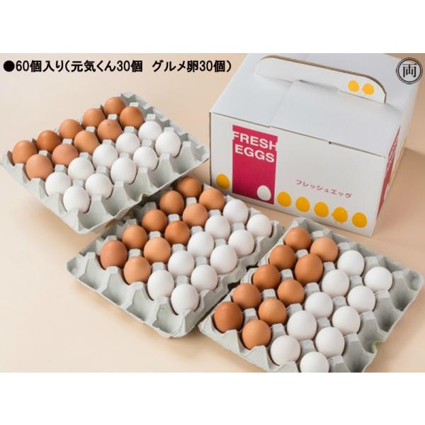 卵は餌によって味は変わるんです！！野菜たまご 元気くんとグルメ卵 和の食べ比べセット■入数：60個入り（元気くん30個　グルメ卵30個）●野菜たまご元気くん臭みが少なく味が濃い卵、花井養鶏場の卵では一番ご利用いただいています。※野菜たまご ...