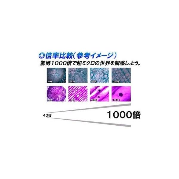 最大倍率1000倍 パソコン接続 高倍率デジタルマイクロスコープ 高品質大人気 Usb 望遠鏡 パソコン接続 デジタル顕微鏡 更にお得なpaypay残高も ミクロ 研究 Rys