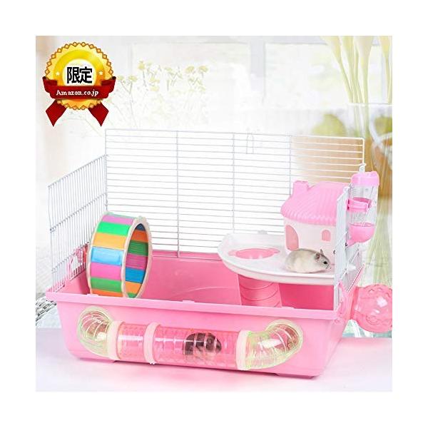 Gifty ハムスター ゲージ 飼育 セット 2階建て 大きめ ケージ ジャンガリアン 小動物 飼育ケージ Quantas Com Tw