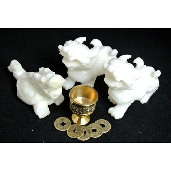 貔貅龍亀置き物セット