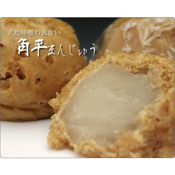 まんじゅう 詰め合わせ 12個入 2種6個ずつ 送料込み 美味しい 粒あん 白あん あんこ 饅頭 新潟 お土産 ギフト 贈り物 和菓子 和スイーツ 3071 お菓子の 龍宝堂 通販 Yahoo ショッピング