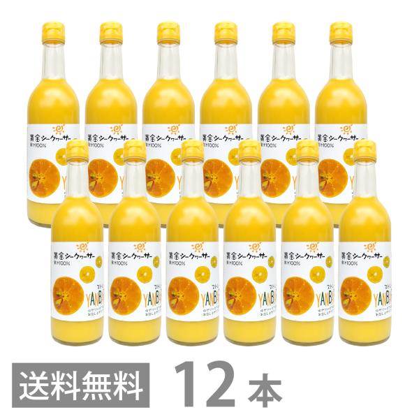 黄金シークワーサー 500ml ×12本セット マイルドタイプ クガニ 原液 沖縄産 山原 シークヮーサー 果汁100％ ジュース 琉球フロント