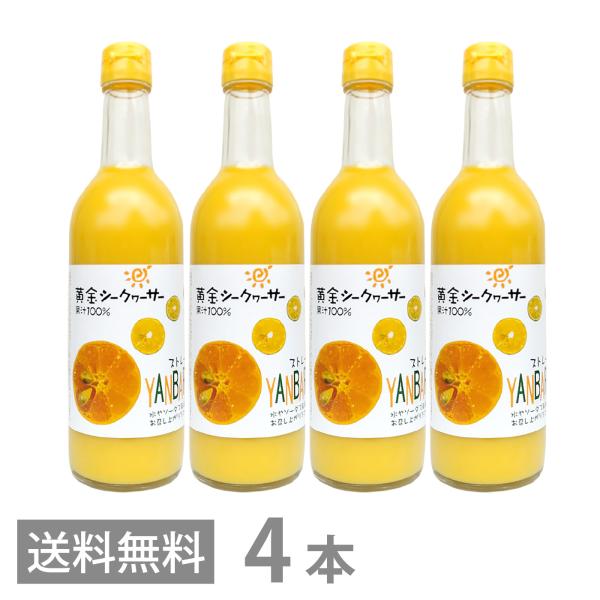 黄金シークワーサー 500ml ×4本セット マイルドタイプ クガニ 原液 沖縄産 山原 シークヮーサー 果汁100％ ジュース 琉球フロント