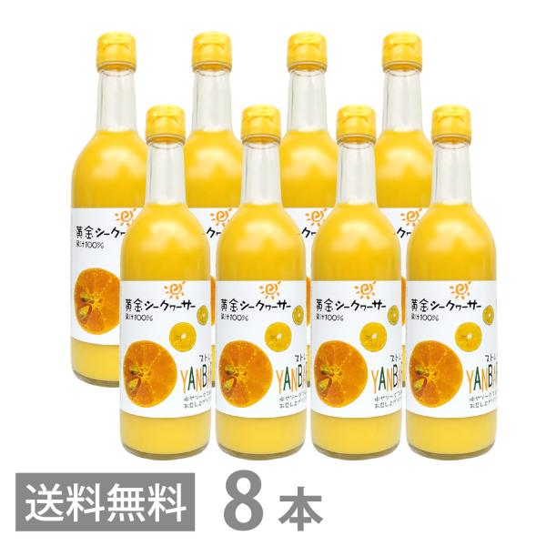 黄金シークワーサー 500ml ×8本セット マイルドタイプ クガニ 原液 沖縄産 山原 シークヮーサー 果汁100％ ジュース 琉球フロント