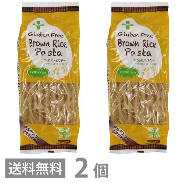 PLUS グルテンフリー ブラウンライスパスタ フェットチーネ 幅9.5ｍｍ 80g ×2 送料無料 フィットチーネ 玄米 小麦不使用 米粉麺 乾麺 国産