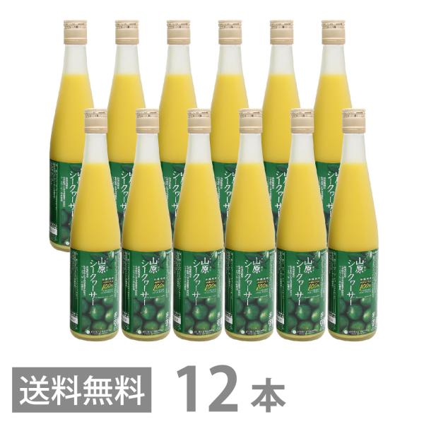 山原シークワーサー 農薬不使用 500ml ×12本セット 送料無料 沖縄産 山原 シークヮーサー 原液 100% ストレート ノビレチン 琉球フロント