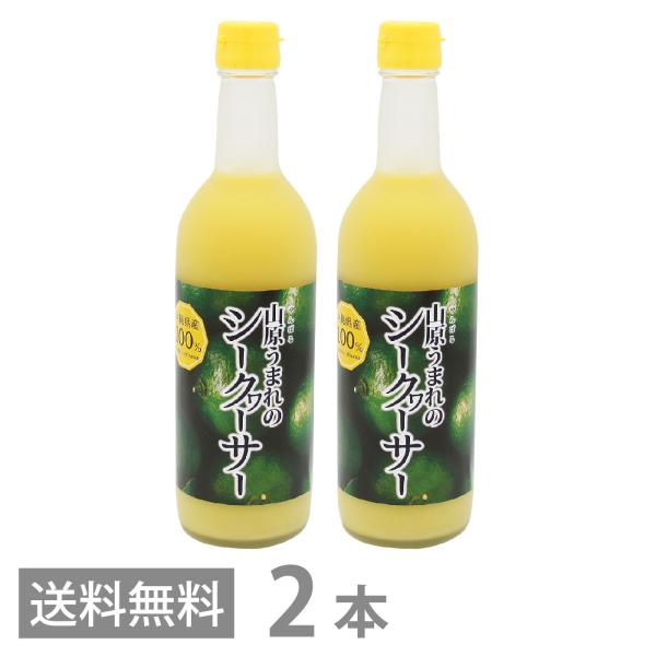 ryukyufront_4988555062789-2