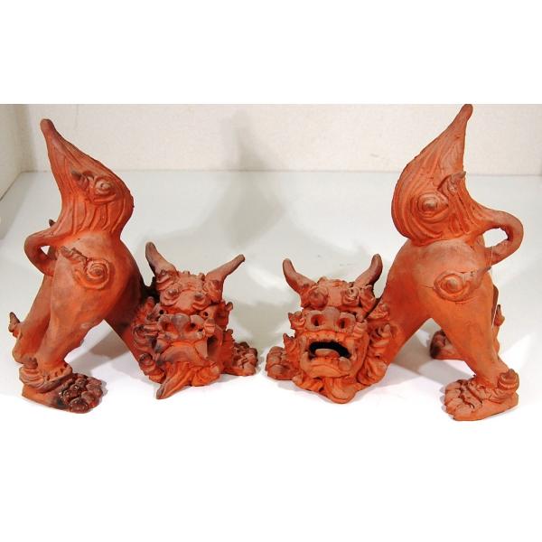 ryukyugama_31880091-1