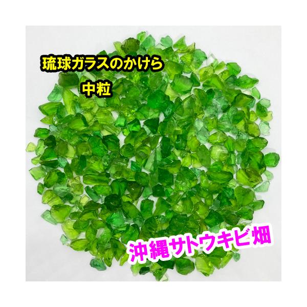 緑色　中粒　100g　琉球ガラスのかけら　カレット