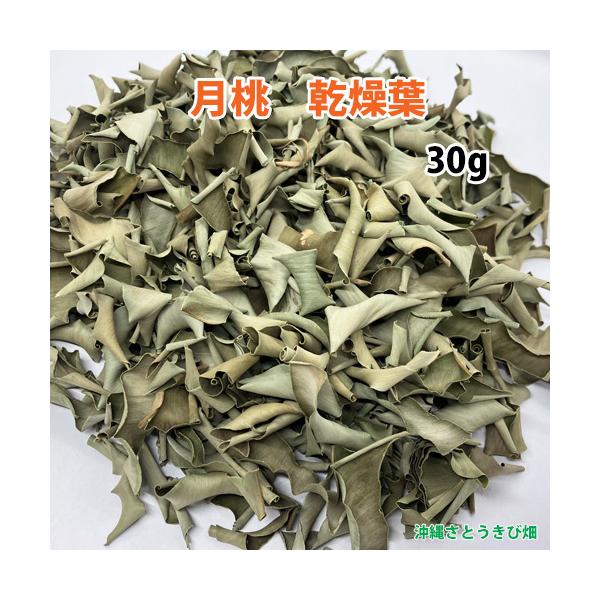 沖縄産 月桃 乾燥葉 30g : りゅうか商事 - 通販 - Yahoo