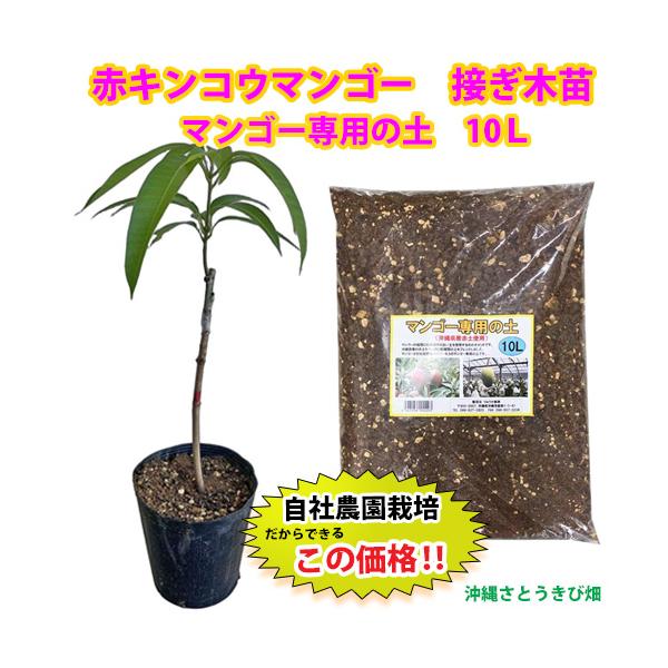 --------------------------------------その他商品との同梱は出来ませんセット発送となりますので、その他商品と同時ご注文の場合、別途送料800円が掛かり別送でのお届けとなります---------------...