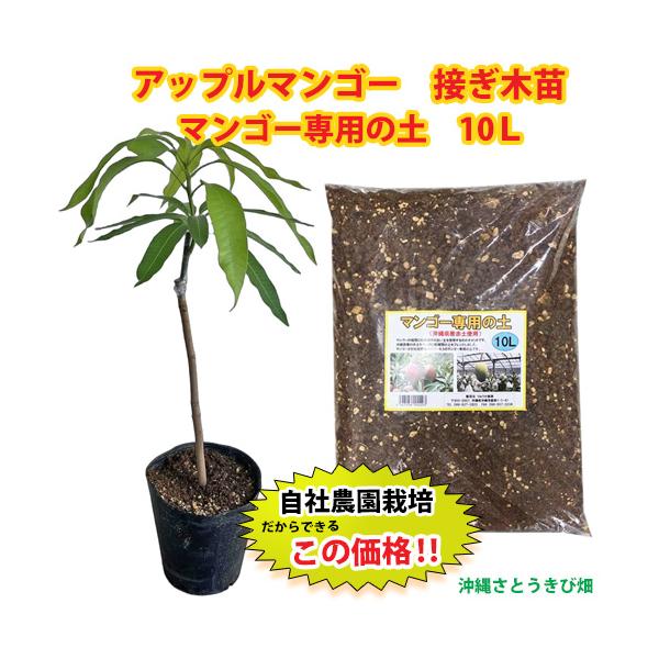 ------------------------------------------------※ご注意ください※その他商品との同梱は出来ませんセット発送となりますので、その他商品と同時ご注文の場合、別途送料800円が掛かり別送でのお届けと...