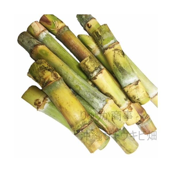 AtpƂѕci2ߕcj10{Zbg