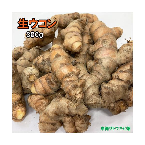 生ウコン　300ｇ■生ウコン■生産地:沖縄県■内容量:300g※大小混合してのパックです農薬不使用の生ウコンですすりおろしてお茶にしたり、乾燥させて粉末にし香辛料としてお使いするのもおすすめです