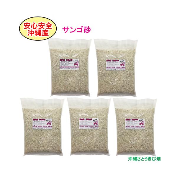 yzSS@Y@̍@TS@1kg×5pbN(5kg)