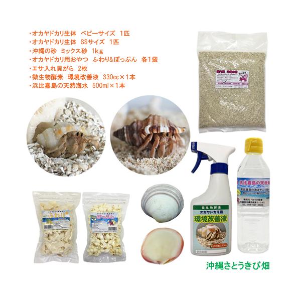 飼育セット　ベビーサイズ＆SSサイズ(生体×2匹・砂×1袋・ふわり＆ぽっぷん×1・二枚貝×2枚・環境改善液×1・海水×1)　　　　|coenobita 観察 自由研究