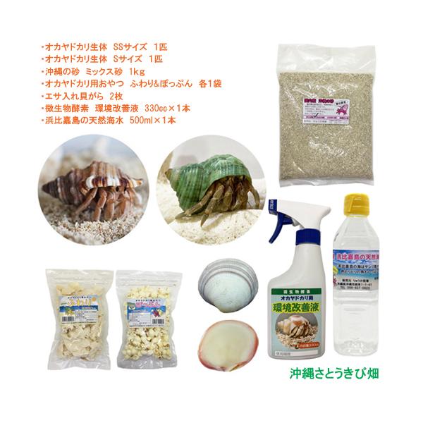 オカヤドカリ飼育セット Ssサイズ Sサイズ 生体 2匹 環境改善液 1 海水 1 シャコガイ 1 枝サンゴ 1 砂 1袋 Oyset Ss S りゅうか商事 通販 Yahoo ショッピング