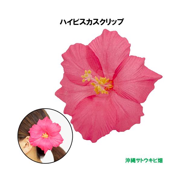 ryuuka_p4562209250489