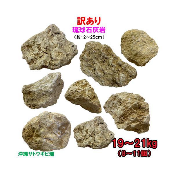 【送料無料】訳あり　琉球石灰岩　サイズミックス　19〜21kg(8〜11個)