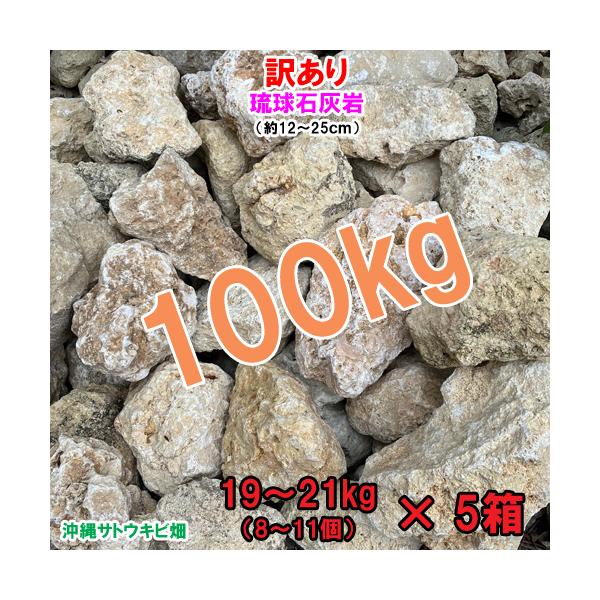 【送料無料】訳あり　琉球石灰岩　100kg