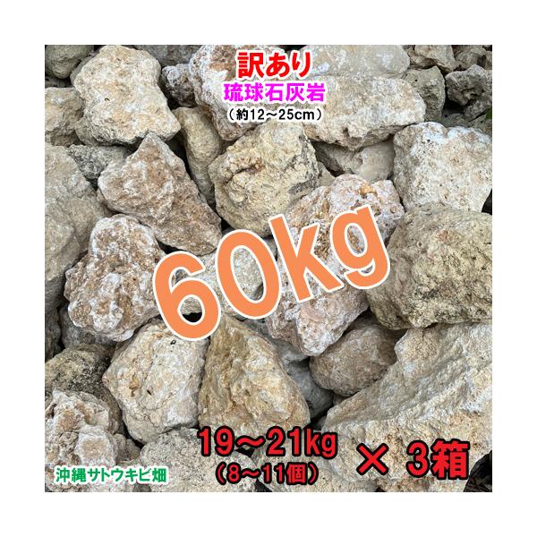 【送料無料】訳あり　琉球石灰岩　60kg